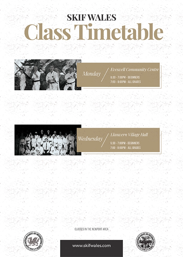 Newport Karate Classes